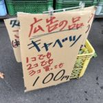 【悲報】キャベツさん、ガチで豊作すぎて3個100円で売られてしまう……