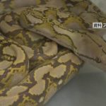 【へび】アパートから逃げ出した体長約3.5mの「アミメニシキヘビ」見つからず。雨で捜索打ち切り。横浜市  [記憶たどり。★]