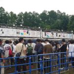 【画像】　櫻坂46ファンの客層をご覧くださいｗｗｗｗｗｗｗｗｗｗｗｗｗｗｗｗｗｗｗｗｗｗｗ