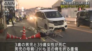 【川崎3人殺傷】3歳男児と39歳女性を轢き殺して逮捕の50歳女「助手席に乗せていたペット(インコ)とじゃれていた｣｢よそ見をしていた｣★4  [スペル魔★]